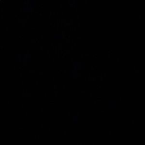 Meet your Posher, Joshua